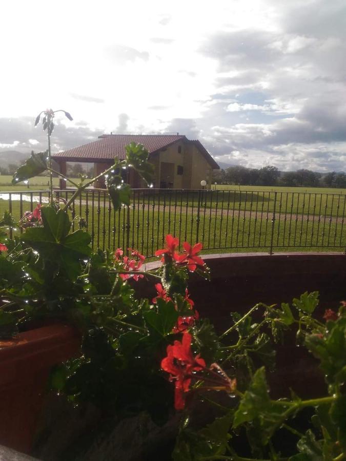 Agriturismo Oasi Del Pianettino Campagnatico Exterior photo